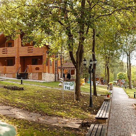 Sky Land Camping & Resort Cricova Dış mekan fotoğraf