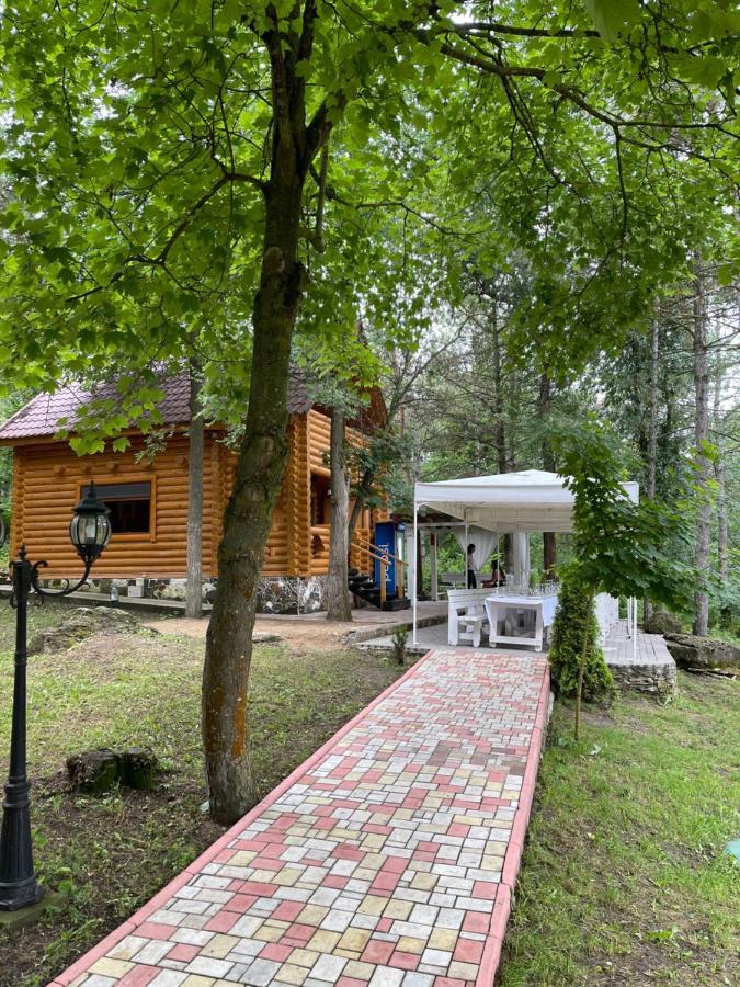 Sky Land Camping & Resort Cricova Dış mekan fotoğraf