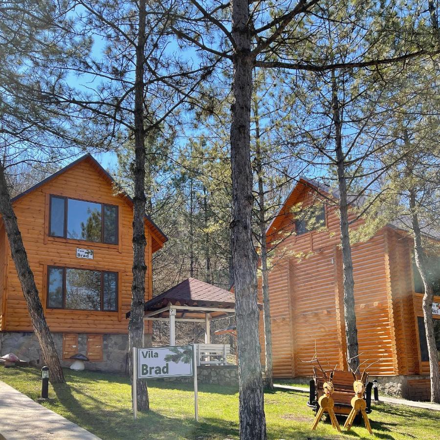 Sky Land Camping & Resort Cricova Dış mekan fotoğraf